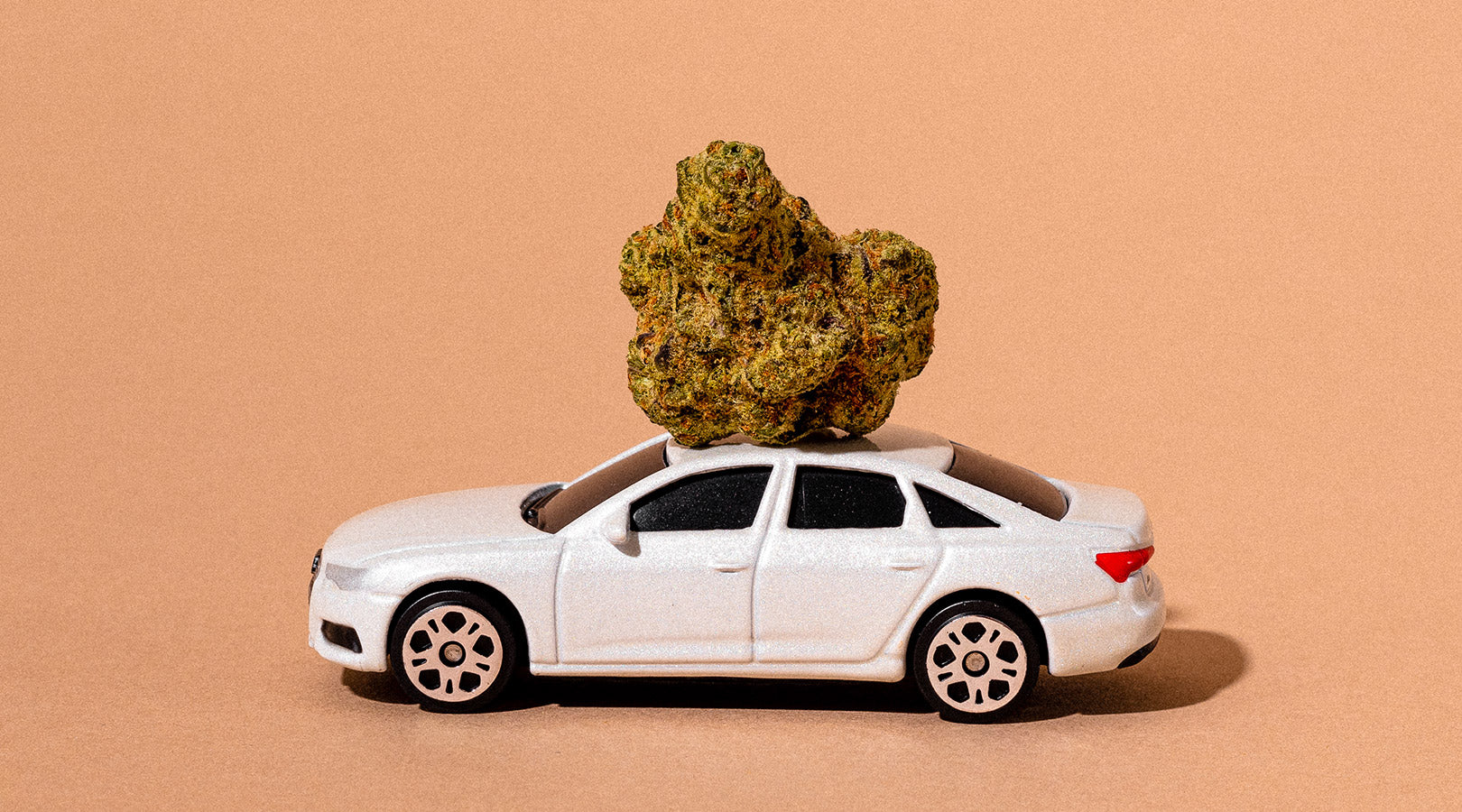 Photo of weed on car. 